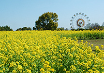 Kumamoto City Zoological and Botanical Gardens