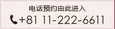 电话预约由此进入 tel:+81 11-222-6611