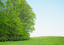 Hitsujigaoka Observation Hill